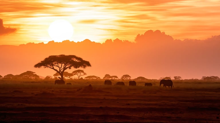 Kilimanjaro
