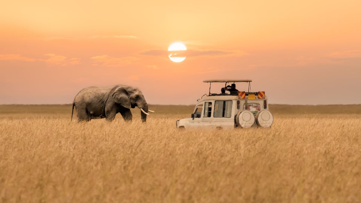 Masai Mara wildlife safari