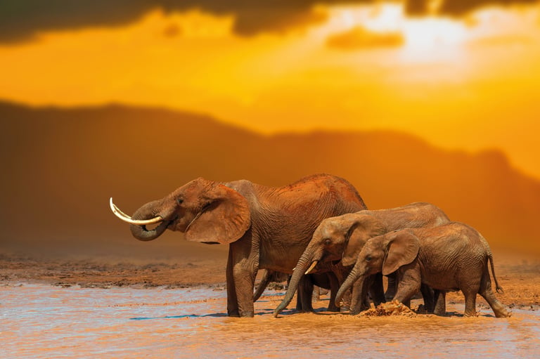 Tsavo West