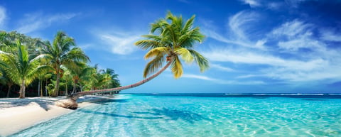 Zanzibar beach paradise