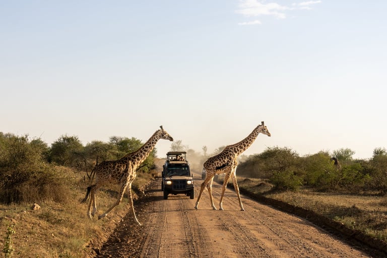 Masai Mara