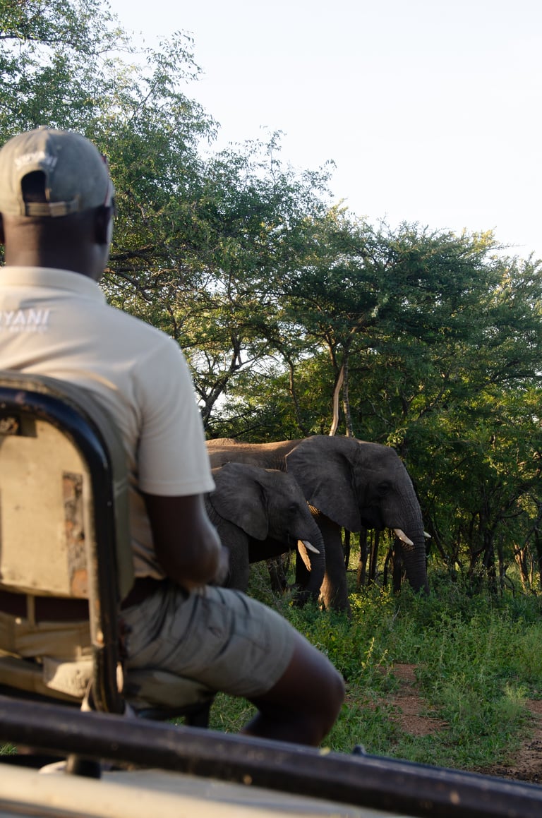 Amboseli